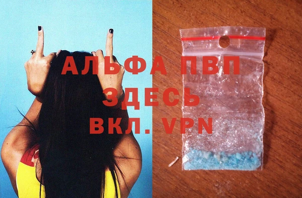 шишки Каменка