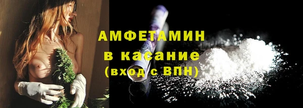 шишки Каменка