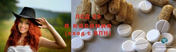 шишки Каменка
