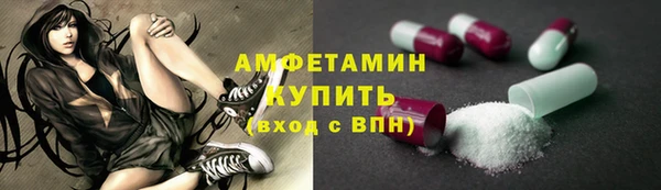 СК Инта