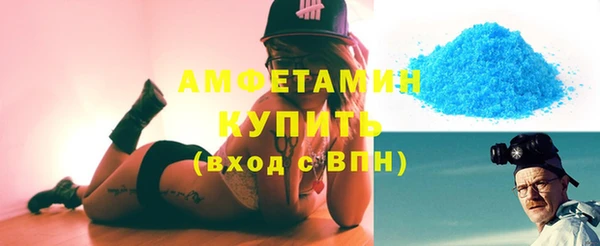шишки Каменка