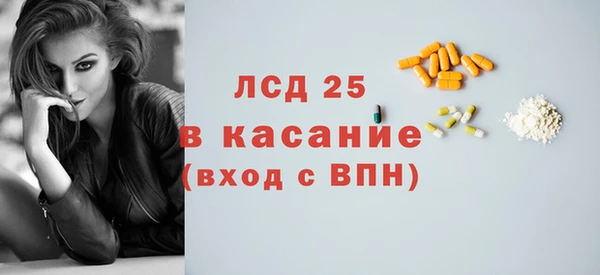 шишки Каменка