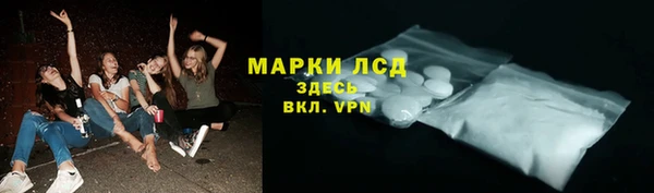 шишки Каменка