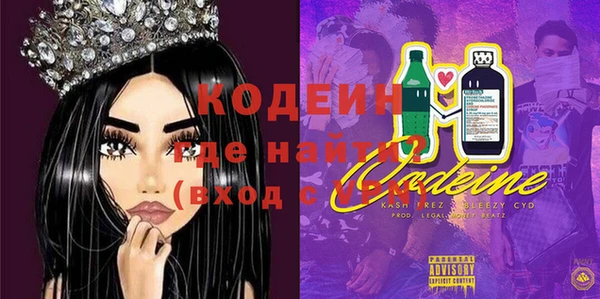 СК Инта