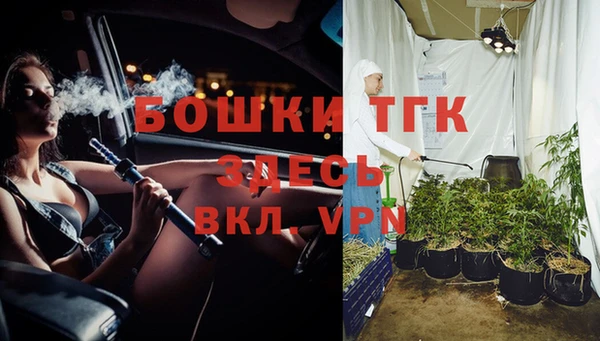 шишки Каменка