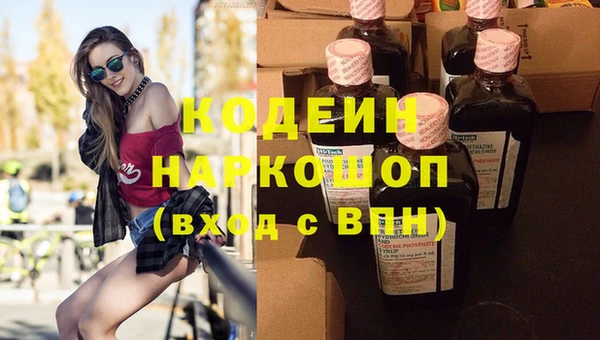 шишки Каменка