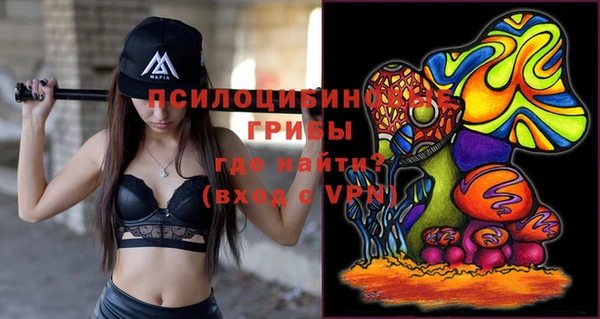 молекула духа Каменск-Шахтинский