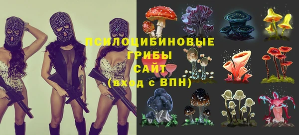 шишки Каменка