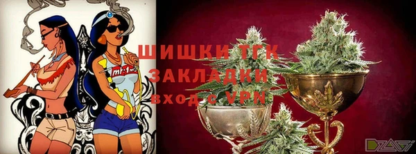 шишки Каменка