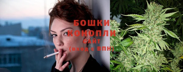 шишки Каменка