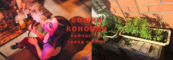 молекула духа Каменск-Шахтинский