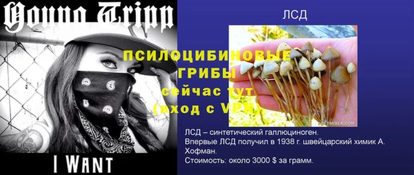 спиды Инсар
