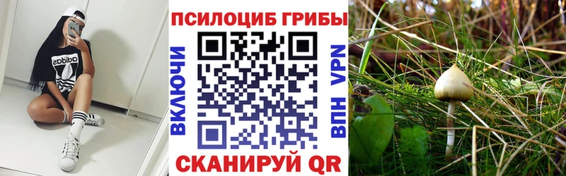 Купить где  Белово  Галлюциногенные грибы ЛСД 